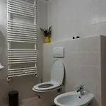 Ringmo Timisoara