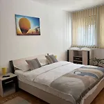 Ringmo Timisoara