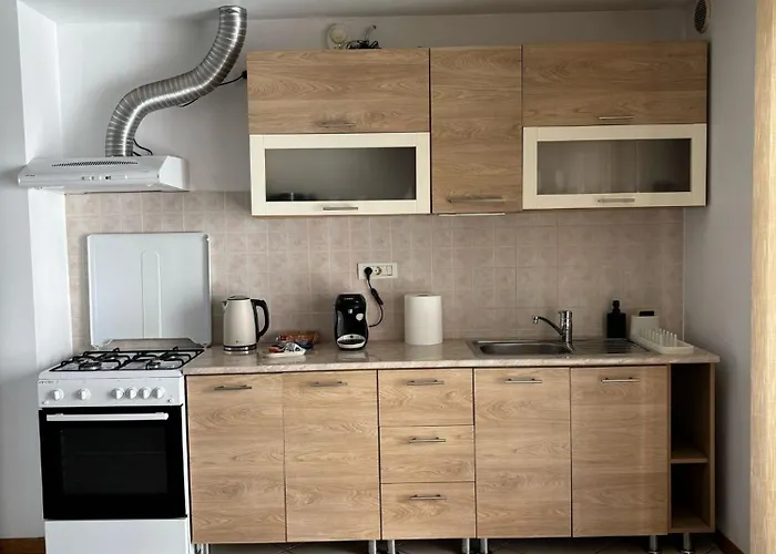 Ringmo Apartamento Timişoara