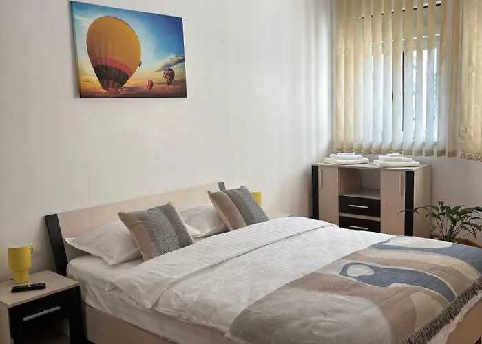 Ringmo Тимишоара